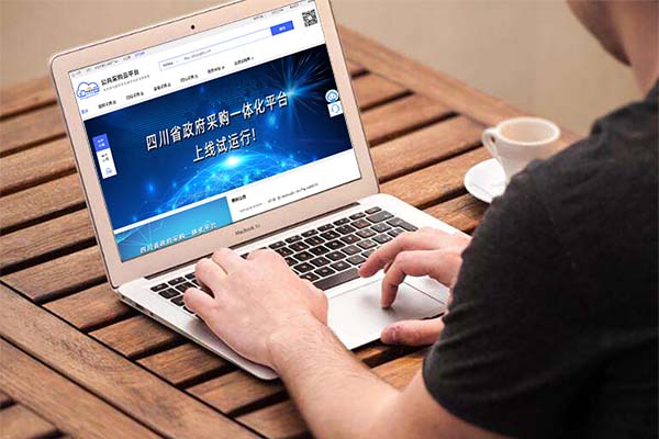 已对接政采平台插图10